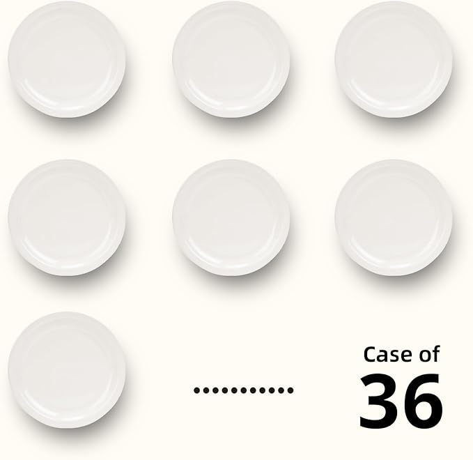 Stoneware Narrow Rim Commercial Grade Dinnerware, America White, Plate 8.25, Case of 36