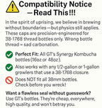 Kombucha.com Carbo-Caps: The Swingtop Slayer and Ultimate Carbonation System for Craft Beer & Kombucha Home Brewing. Viva La Revolución! (65 psi (High Carbonation), 2 Carbo-Caps + PRVs)
