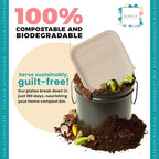100% Natural 8” Palm Leaf Square Plate (50-pack), Compostable & Biodegradable Dinnerware for Catering, Birthdays, Cinco de Mayo, BBQs, Thanksgiving, Alternative to Paper & Bamboo Plates Disposable