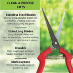 Garden Guru Straight Stainless Steel Pruner Pruning Shears Clippers Snips – Sharp Bonsai Cutter Plant Trimming Scissors – Straight Blade Garden Scissors Tool – Great for Roses Flowers Herbs Fruits