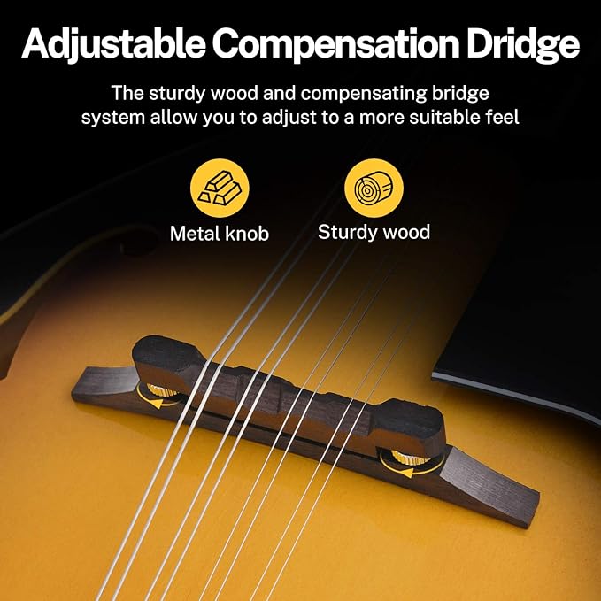 Donner A Style Mandolin Instrument Sunburst Beginner Adult Acoustic Mandolin Musical Instrument Mahogany 8 String, Bundle With Tuner String Bag Guitar Picks,DML-1