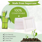 ECOLipak 7.85 Inch Compostable Square Paper Plates, 300 Count Heavy Duty Paper Plates, Eco Friendly Disposable Sugarcane for Party, Daily