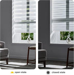 Persilux Cordless Zebra Blinds for Windows (47" W X 47" H, White) Free-Stop Roller Windows Shades Dual Layer Light Control for Day and Night, Light Filtering Sheer Shades for Home, Easy to Install
