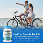 Vegan Ashwagandha Sea Moss Gummies - Black Seed Oil, Vitamin C&D for Immune Support, Digestive, Antioxidant 13 in 1 Bundle, Sea Moss Chlorophyll Advanced Strength Formula 60 Gummies