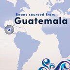 Gevalia Special Reserve Guatemala Single Origin Medium Roast Coarse Ground Coffee, 10 oz. Bag