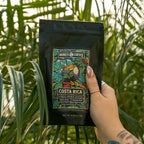 Bones Coffee Company NEW World Tour Sample Pack, Single-Origin Flavored Coffee Low Acid Medium Roast Arabica Beans Specialty Coffee Gifts Compatible Auto Drip and French Press, 4 oz Pack of 5 Ground