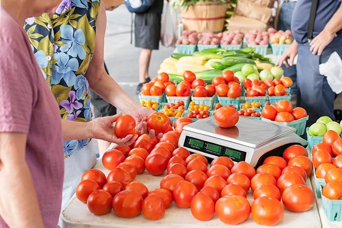 Price Computing Scale, 66lb Digital Commercial Food Meat Produce Weighing Scale with Green Backlight LCD for Farmers Market, Retail Outlets, Dry Battery Powered, Not for Trade