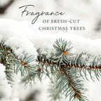 Thymes Frasier Fir Reed Diffuser Set – Includes Reeds, Fragrance Oil, and Frosted Glass Bottle – Fragrance Oil Diffuser – Room Fresheners – Luxury Home Decor – Gold (Gilded, 4 fl oz)