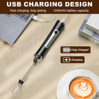 Handheld Electric Milk Frother with 2 Heads, Coffee Whisk Foam Mixer with USB Rechargeable 3 Speeds, Foam Maker Blender for Latte, Cappuccino, Hot Chocolate, Egg (Black)