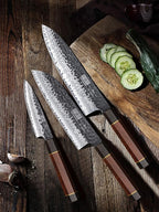 HOSHANHO 3 Pieces Knife Set, Professional High Carbon Steel Kitchen Knives Set, Ultra Sharp Japanese Chef Knife Set with Ergonomic Handle & Gift Box