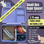 BEARFOOT Kids Lunch Box with Compartments – Compact & Lightweight | Leak-Proof, BPA-Free, Dishwasher & Microwave Safe | Hand-Drawn Design for Preschool, School, Travel (Dog & Cat Purple, 2.75 Cups)