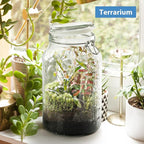 1 Gallon Super Wide Mouth Glass Storage Jars with Airtight Lids and 2 Measurement Marks, Leak Proof Glass Container with Hinged Lids, Large Pickle Jars with Labels and Silicone Gasket, 2 Pack