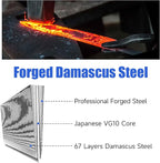 Sunnecko Chef Knife,Japanese VG10 Core Steel Damascus Knife,Professional Razor Sharp Kitchen Knives with Knives Sharpner