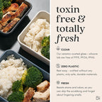 Ceramic Coated Glass Food Storage Container | No PTFE, PFOA, PFAS, and BPA | Reusable Non Toxic Meal Prep Container with Glass Lid | Easy To Store | 8 Cup Square [Pine]