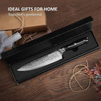 PAUDIN Damascus Chef Knife, 8 Inch Kitchen Knife, 67 Layers Damascus Steel Knife Japanese VG10 Core, Professional Chefs Knife with Ergonomic G10 Handle
