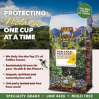 Low Acid Organic Coffee – Whole Bean, Mold-Free & Stomach Friendly by Java Planet, Sumatran Single Origin Coffee, Dark Roast, Smooth Full Flavored, 5LB Bag