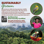 Low Acid Organic Coffee – Whole Bean, Mold-Free & Stomach Friendly by Java Planet, Guatemalan Single Origin Coffee, Medium Roast, Smooth Full Flavored, 5LB Bag